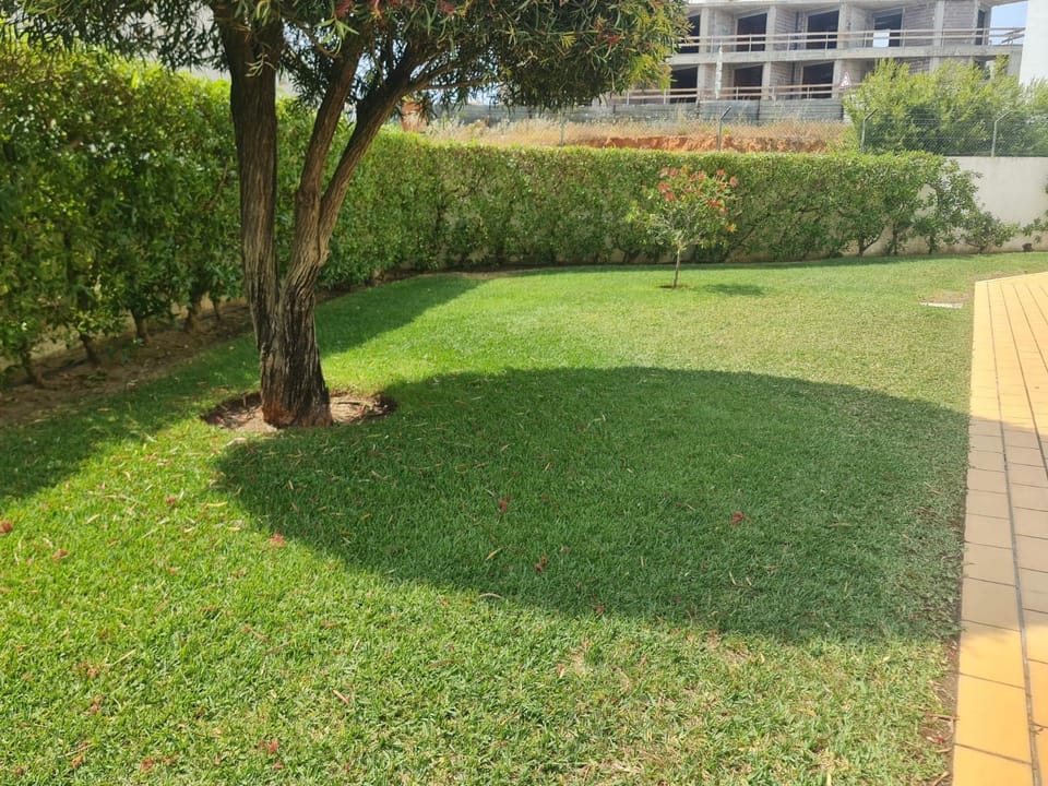 Garden, Garden
