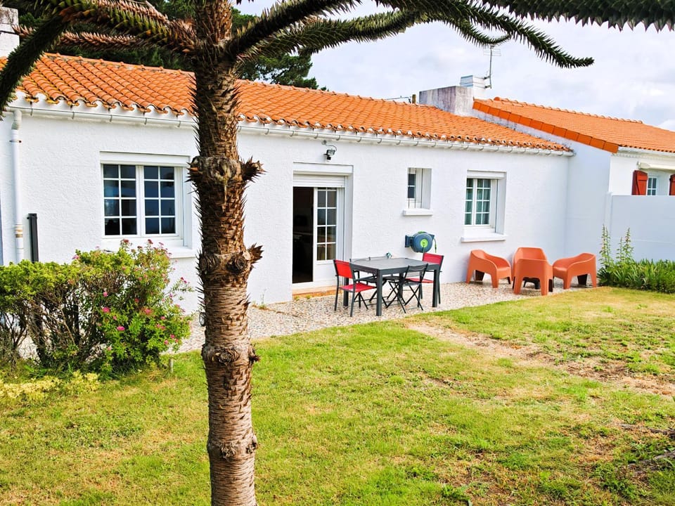 Patio, Garden, Garden view