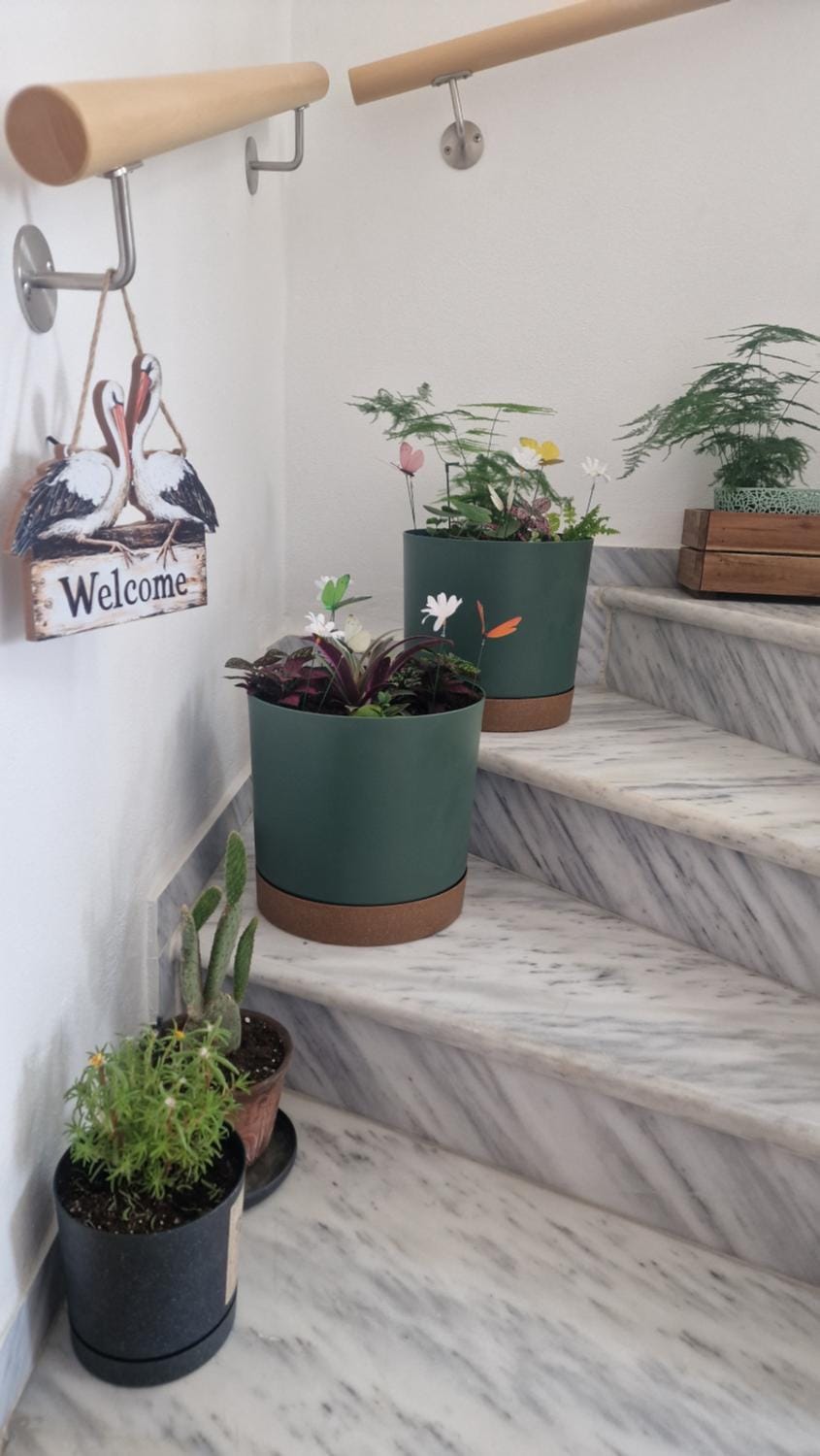 Kofinaki apartment AXD Apartment in Alexandroupoli