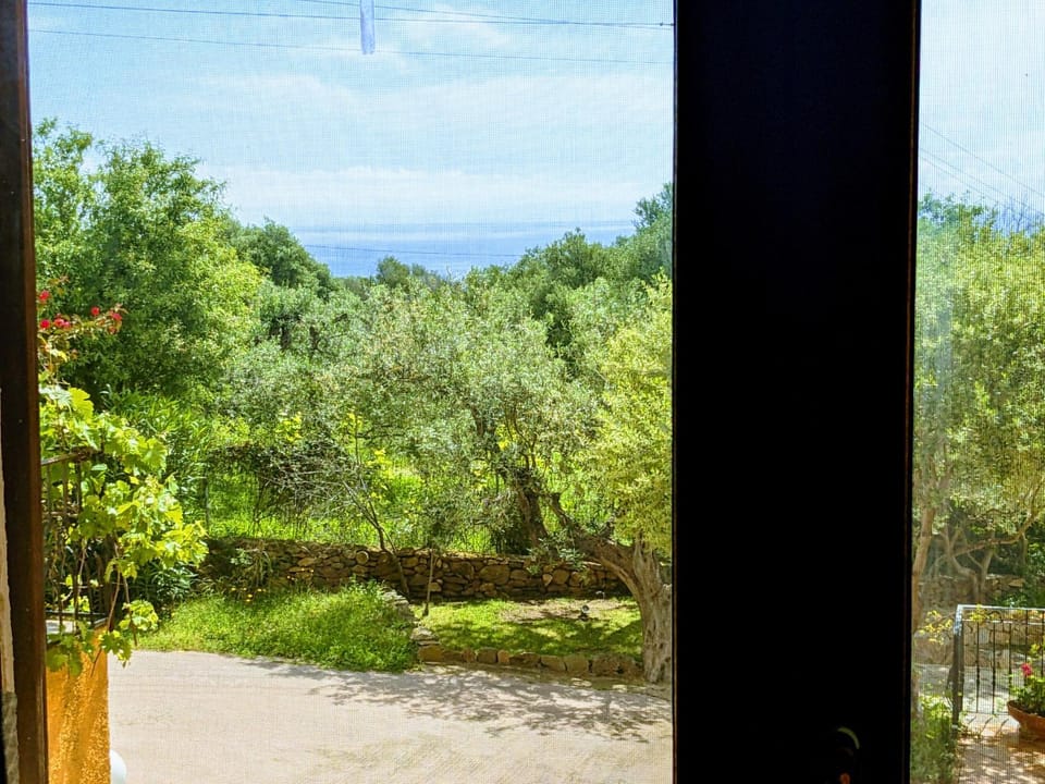 Photo of the whole room, Sea view