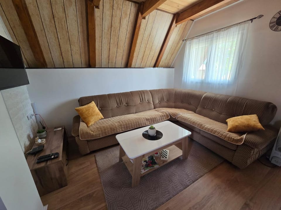 Soko Guest House Apartment in Zlatibor District, Serbia