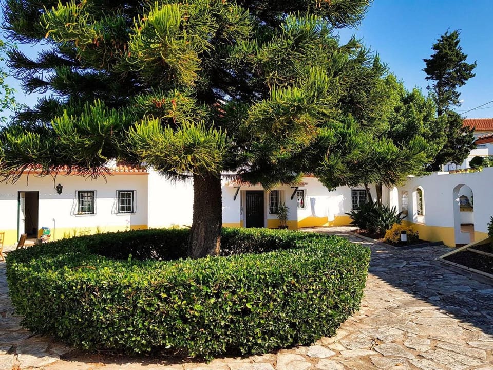 Garden, Garden