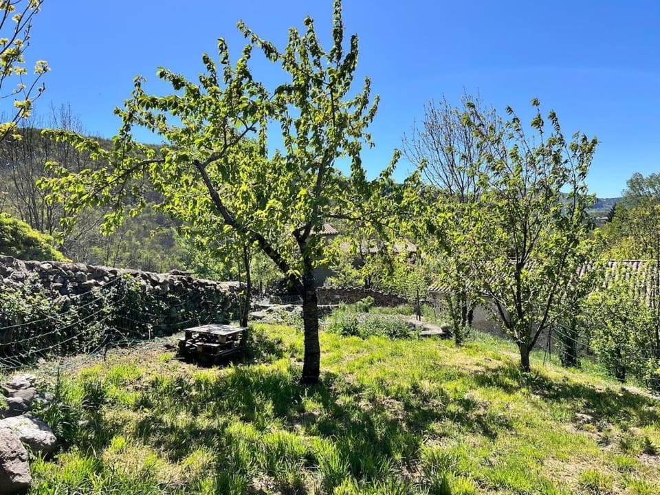 Garden, Garden view