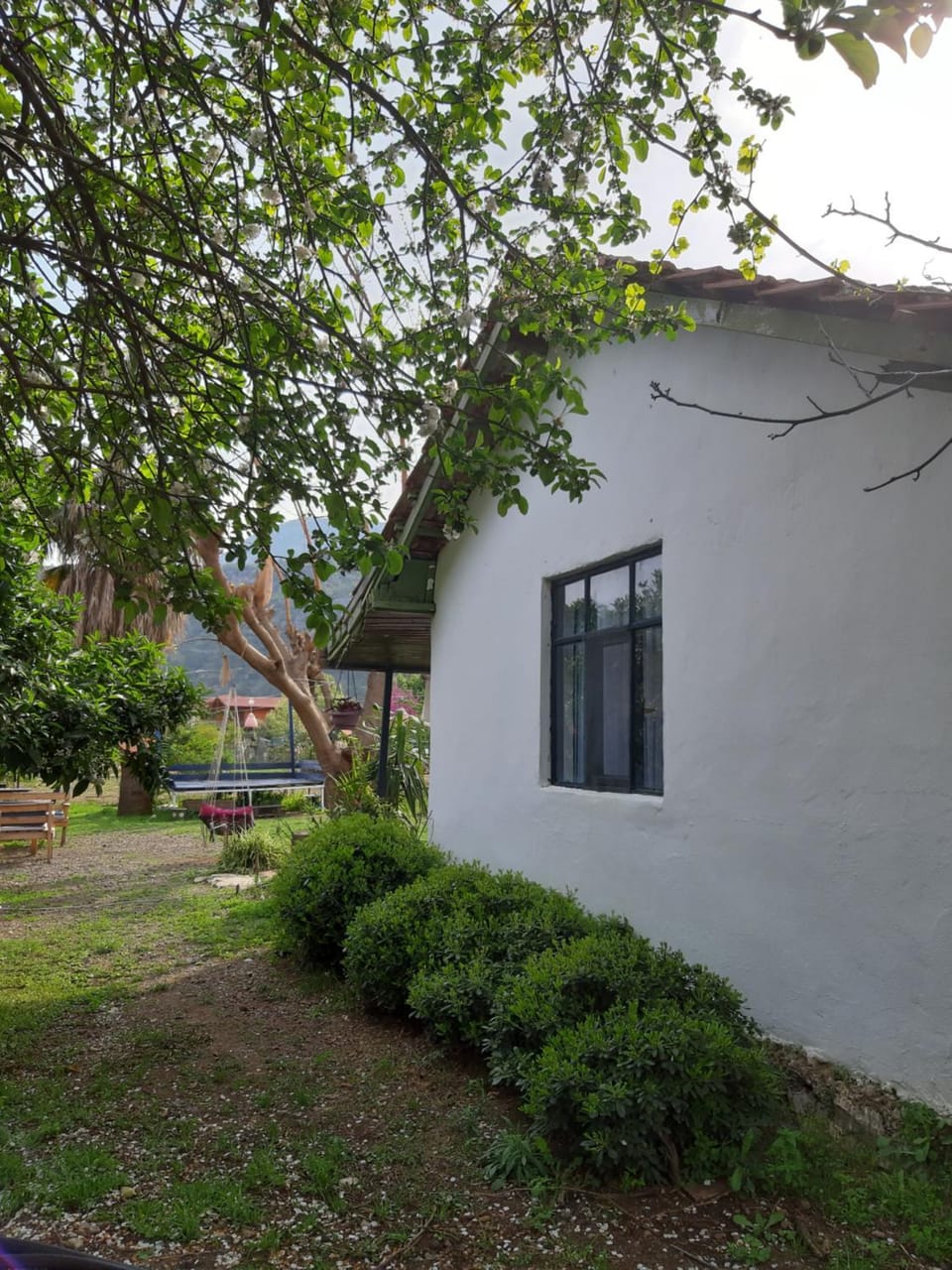 Cirali Friends Pension&Camping Vacation rental in Antalya Province