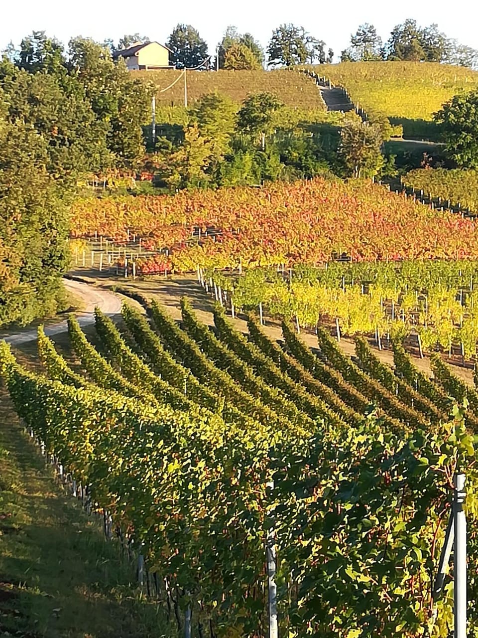 Natural landscape, View (from property/room)