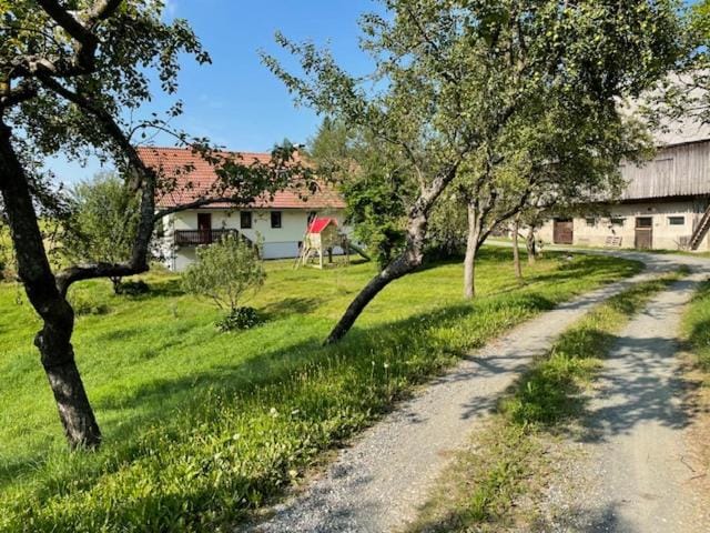 Eko kmetija Sen na Zgornji Kapli Farm Stay in Styria
