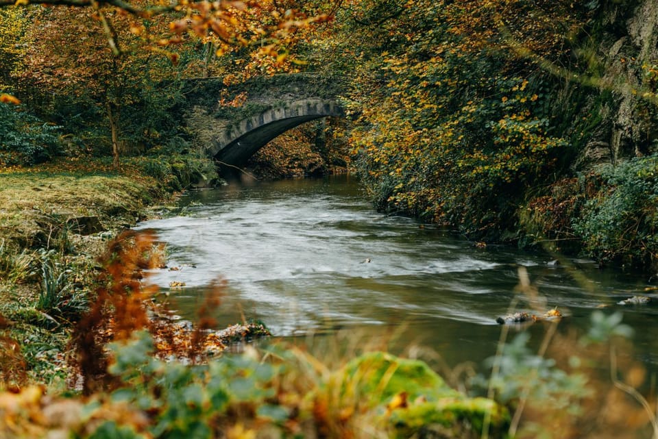 River view, River view
