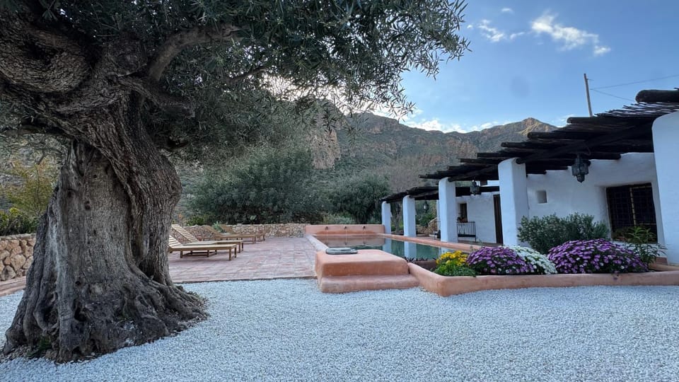 Property building, Spring, Day, Natural landscape, Garden, Garden view, Mountain view, Swimming pool
