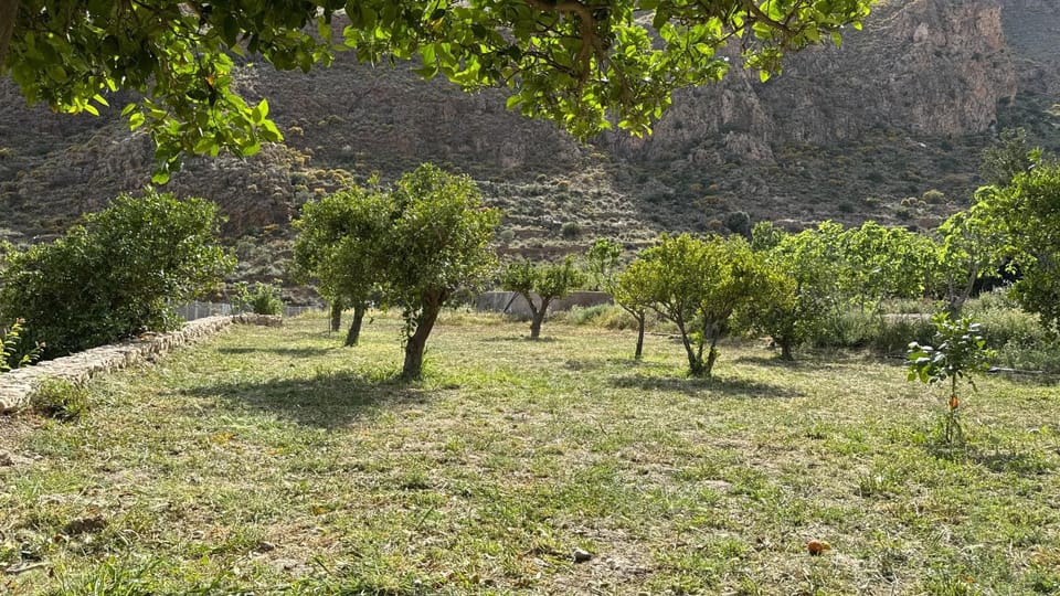Spring, Day, Natural landscape, Garden, Garden view, Mountain view
