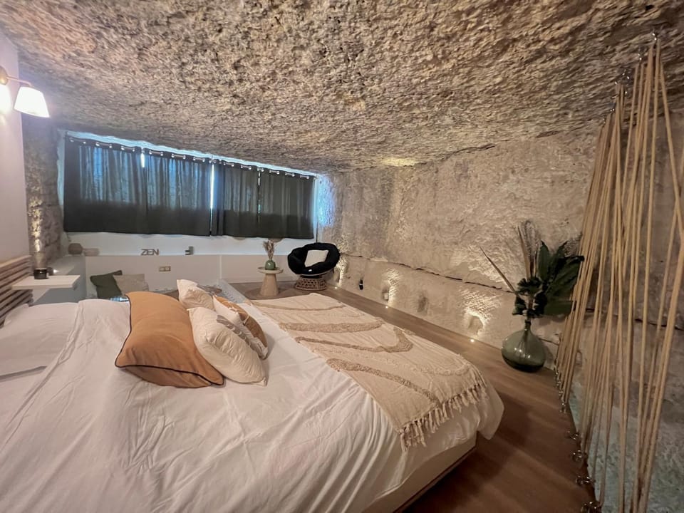 Splendide appartement troglodyte à 5 min du centre Apartment in Poitiers