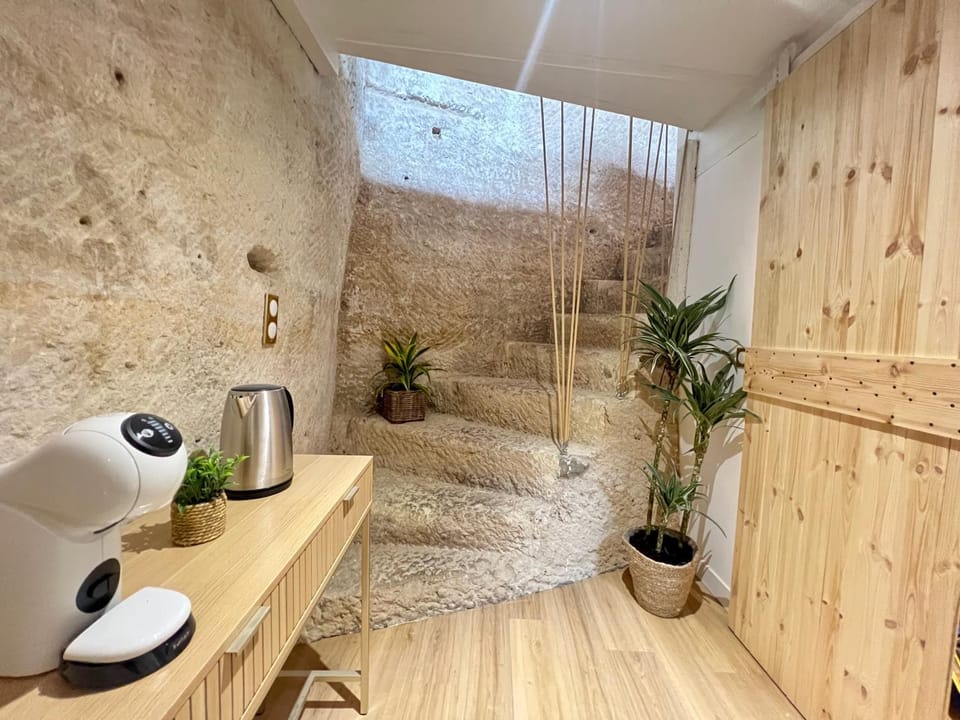 Splendide appartement troglodyte à 5 min du centre Apartment in Poitiers