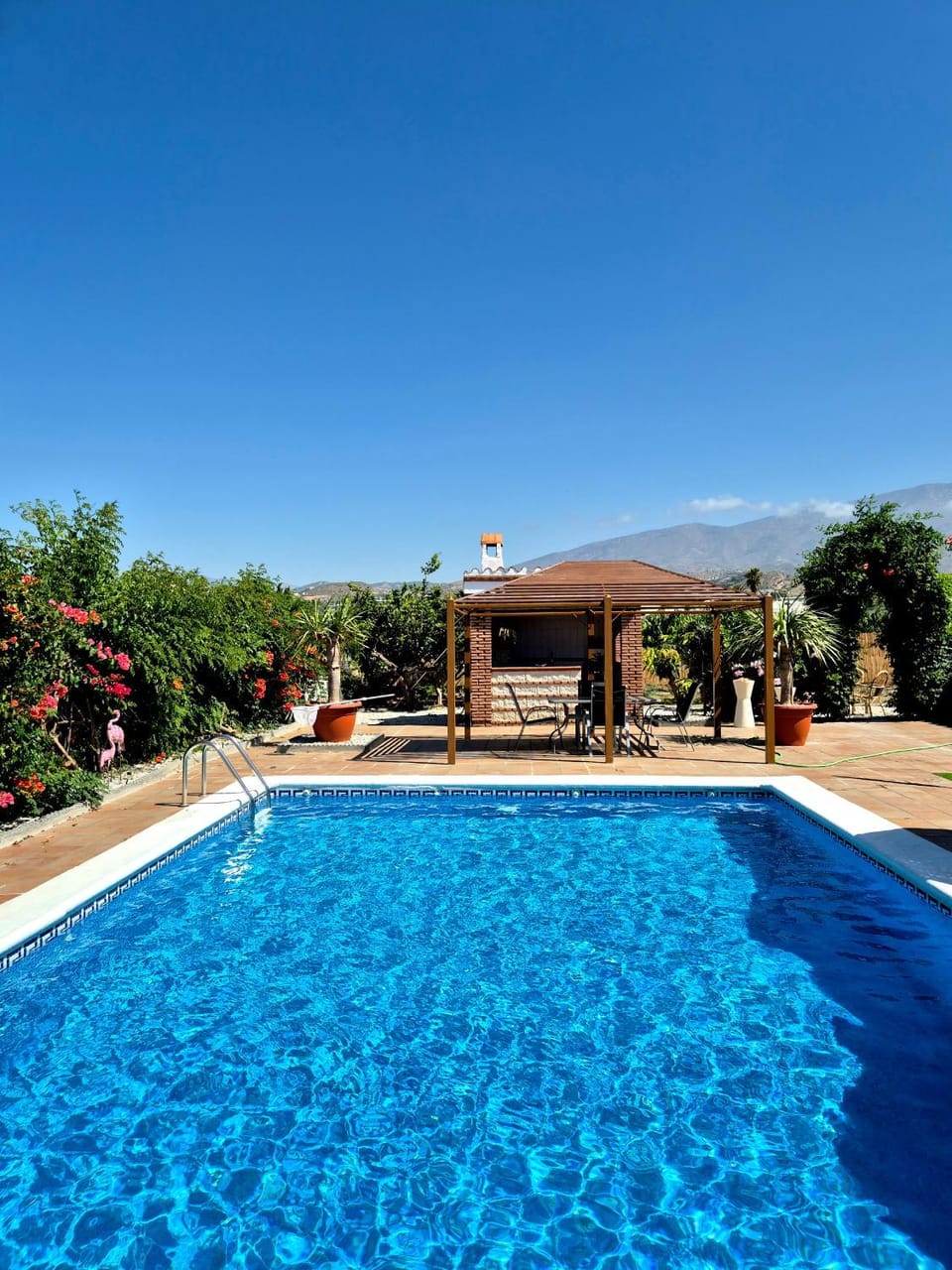 Day, Pool view, Swimming pool, sunbed