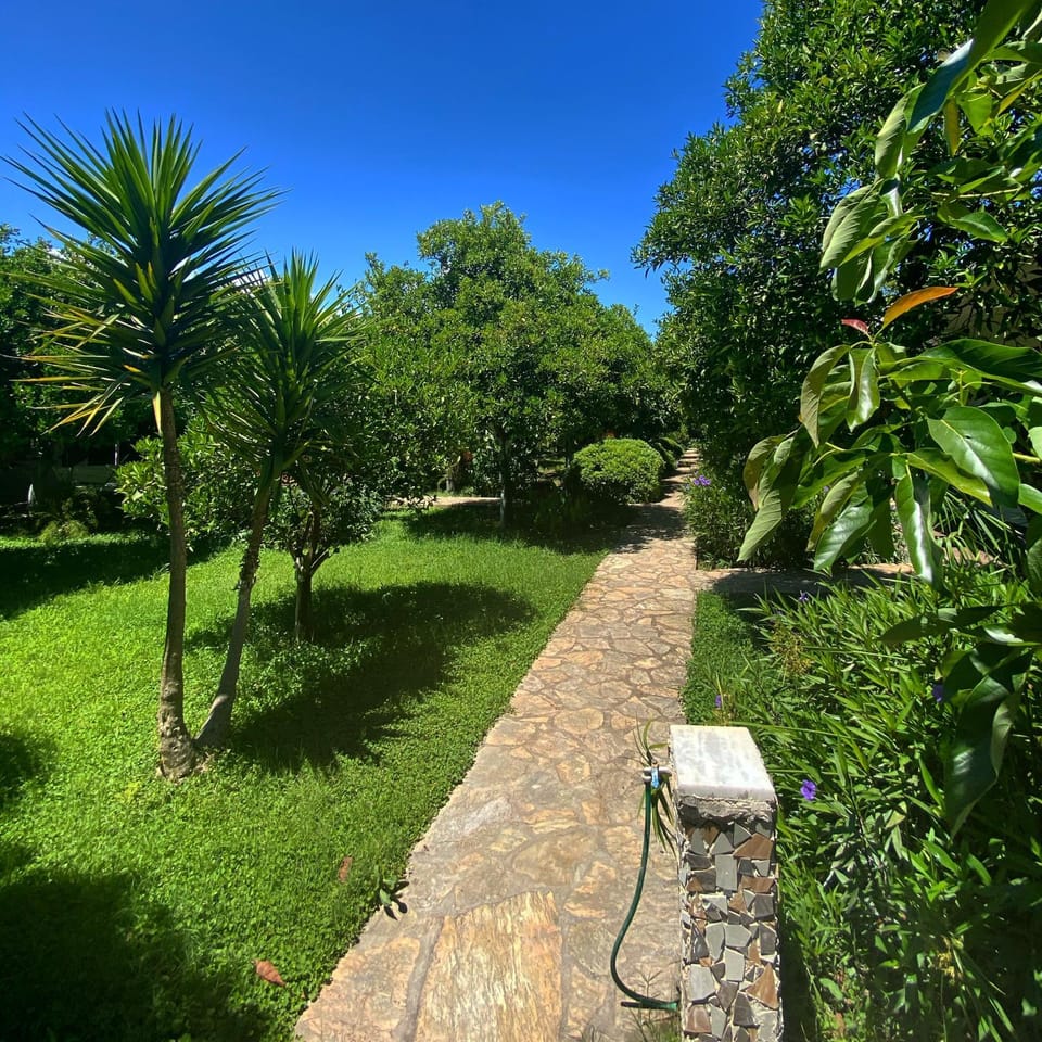 Spring, Day, Garden, On site, Garden view, Garden view