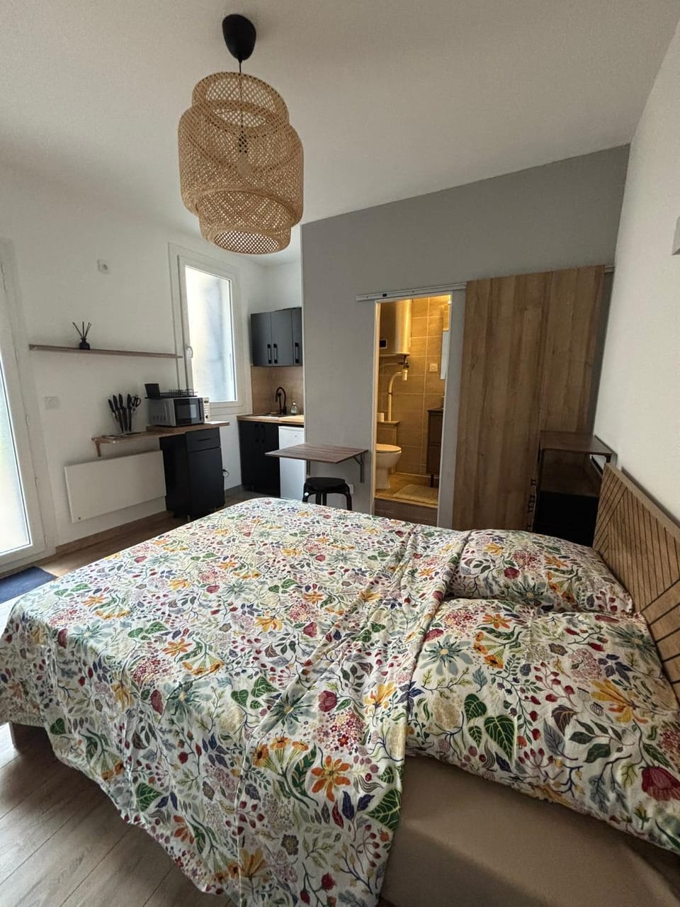 Studio Quai Claude Bernard Apartment in Grenoble