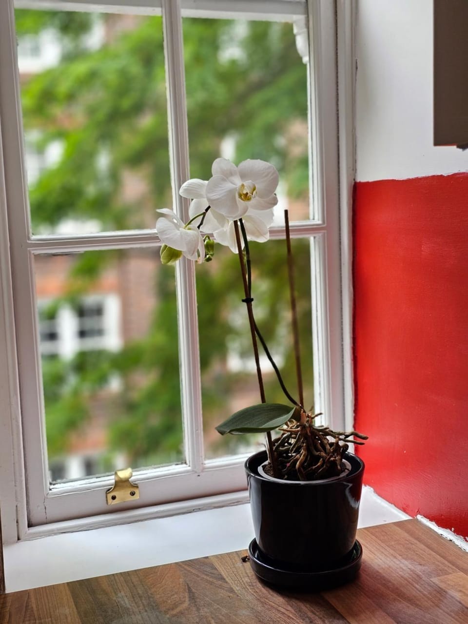 Flat in Hammersmith - Close to tube station Apartment in London Borough of Richmond upon Thames