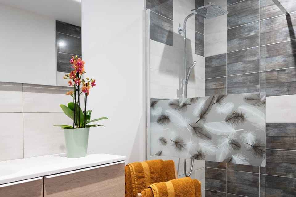 appartement LE MONCEY Apartment hotel in Vosges