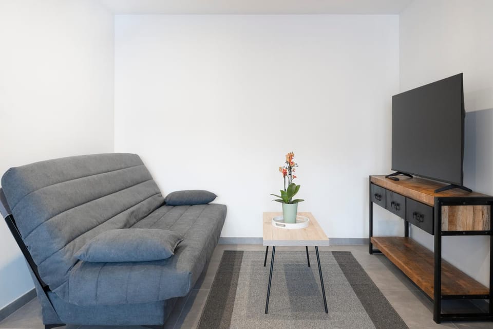 appartement LE MONCEY Apartment hotel in Vosges