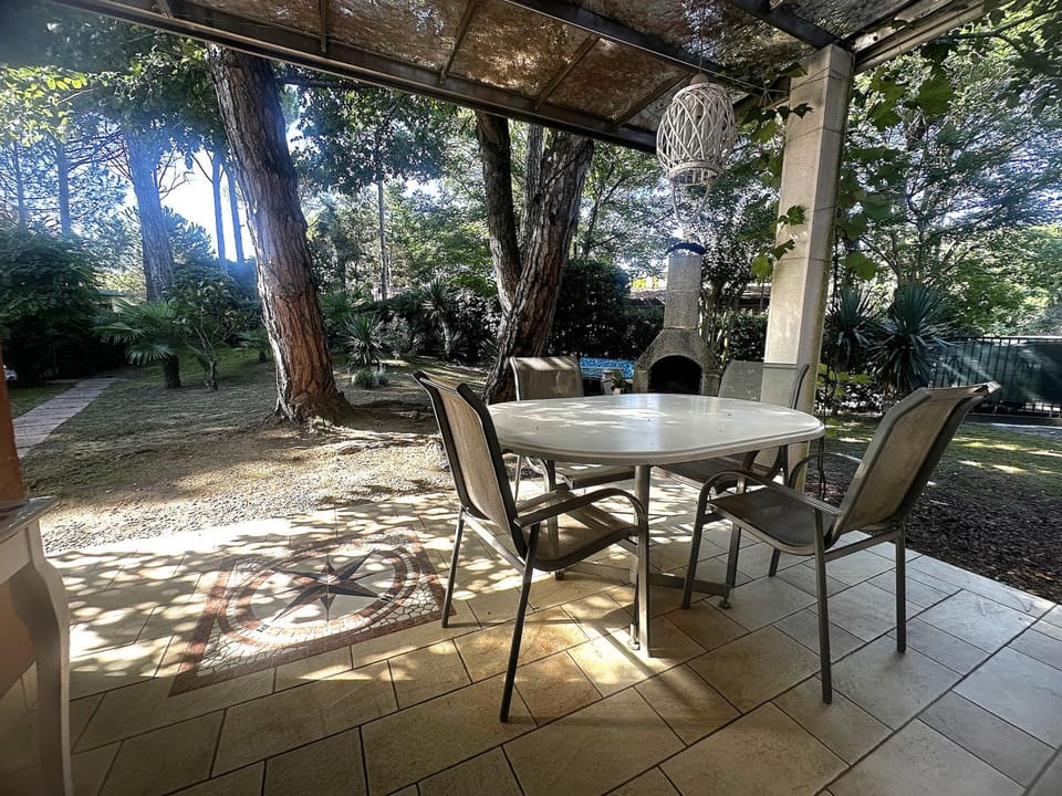 Patio, Summer, Garden