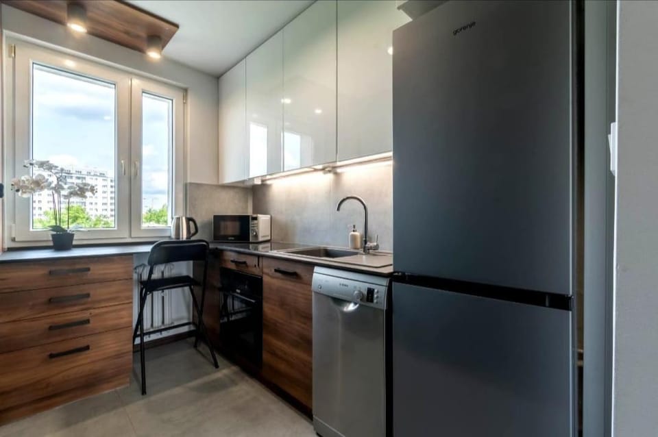 Kitchen or kitchenette, dishwasher, stove