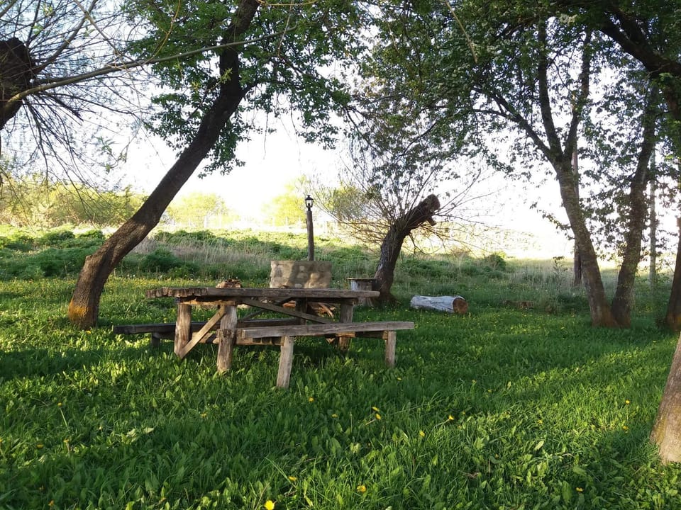 Natural landscape, Garden, Area and facilities