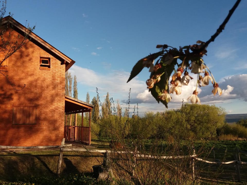 Facade/entrance, Spring, Garden view