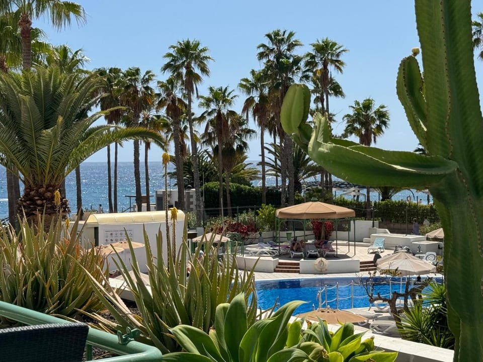 Spring, Day, Garden, Garden view, Pool view, Sea view