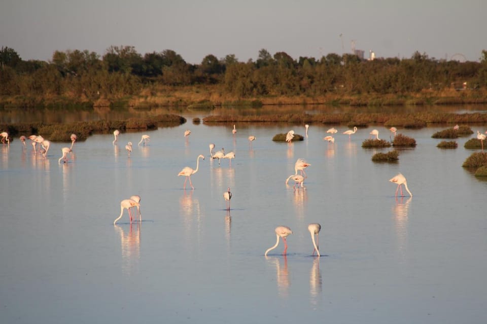 Casetta STELLA MARINA PUNTA SABBIONI Apartment in Cavallino-Treporti
