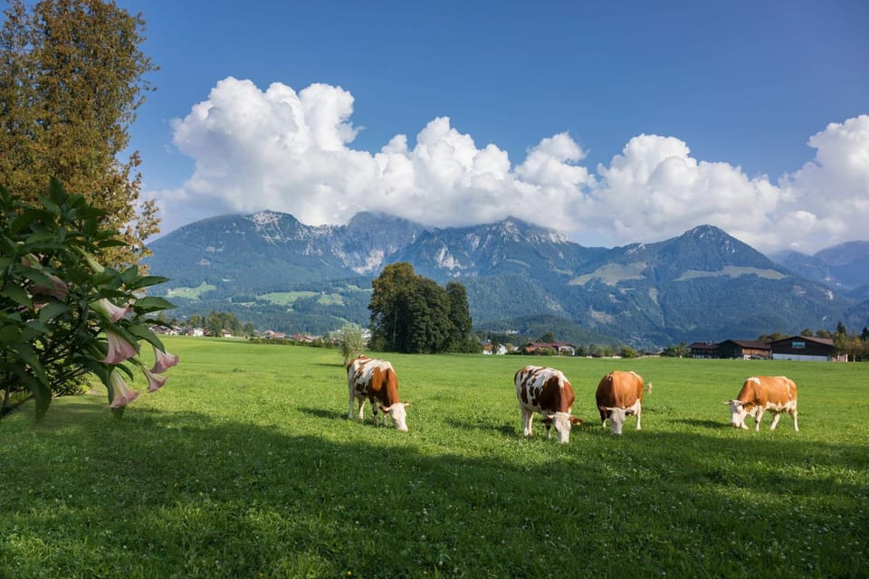 Ferienwohnungen Dankllehen Apartment in Schönau am Königssee