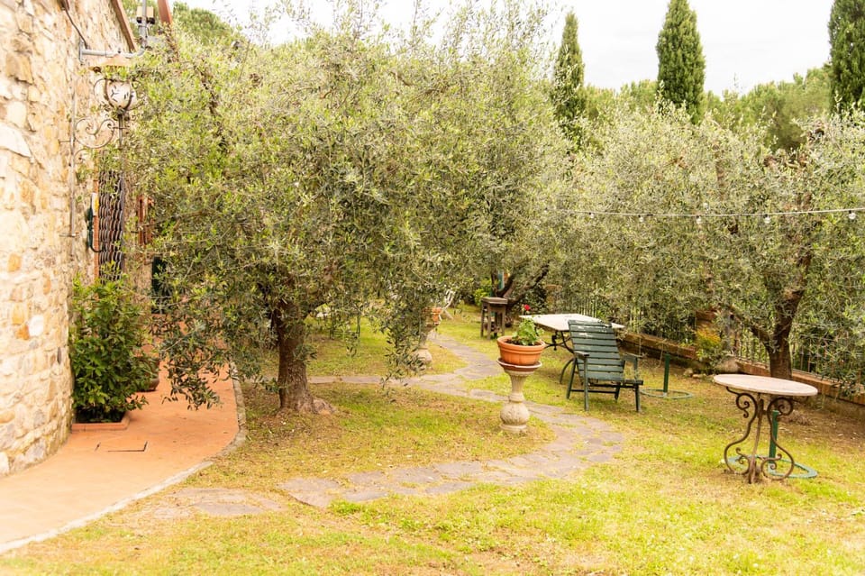 Natural landscape, Garden, Garden view, Inner courtyard view