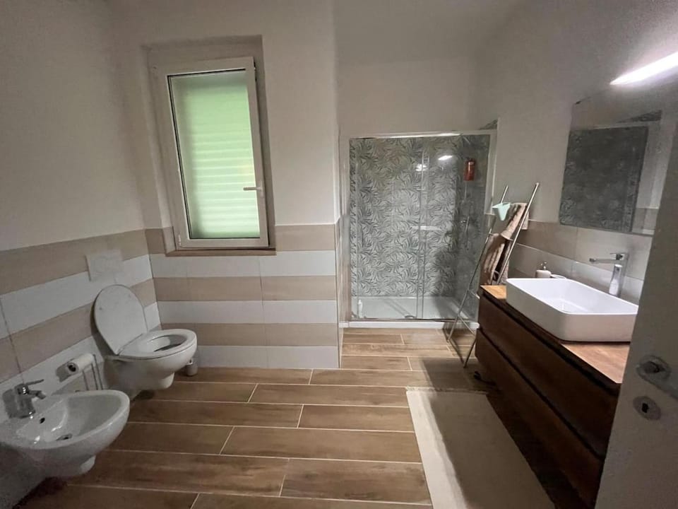 Shower, Toilet, Bathroom, bidet