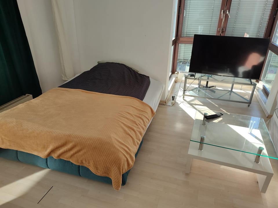 Charming Apartment with a Tranquil Balcony Garden View Apartment in Wiesbaden