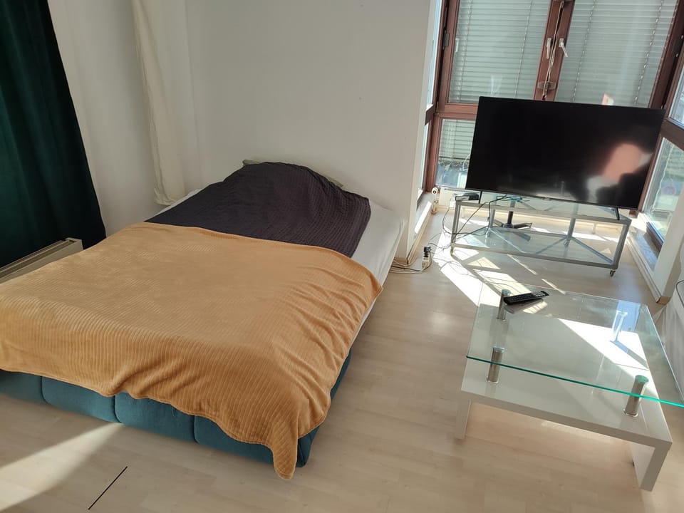 Charming Apartment with a Tranquil Balcony Garden View Apartment in Wiesbaden