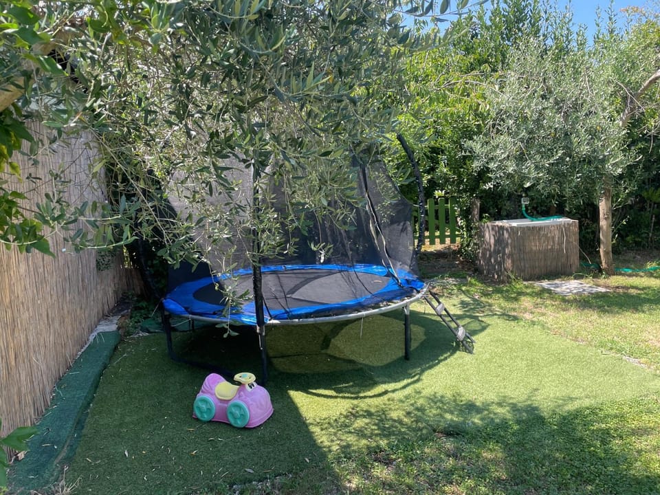 L'olivo House in Capannori