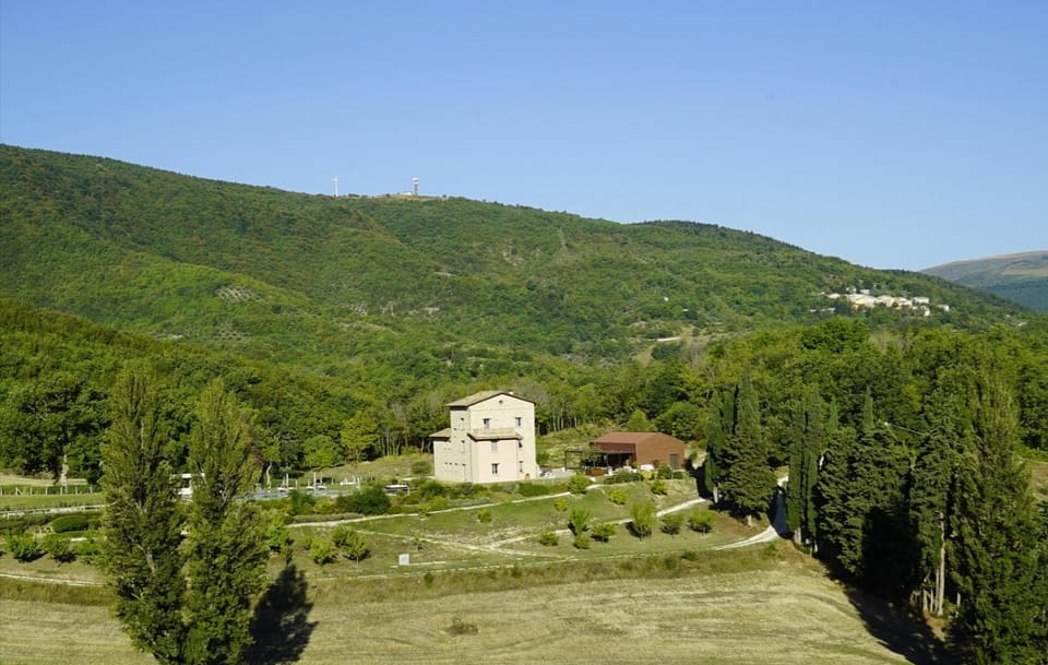 Landmark view