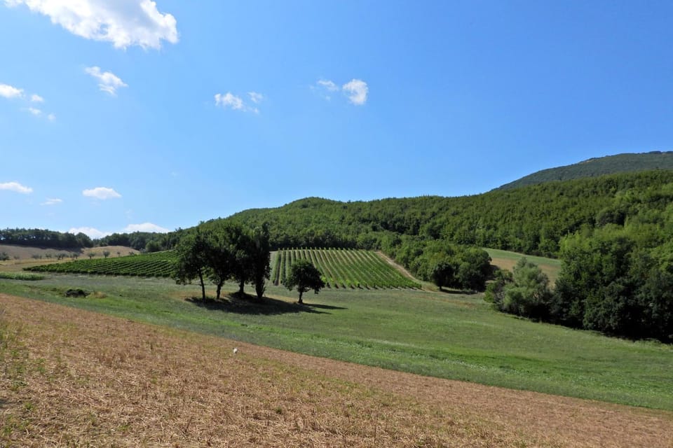 Natural landscape