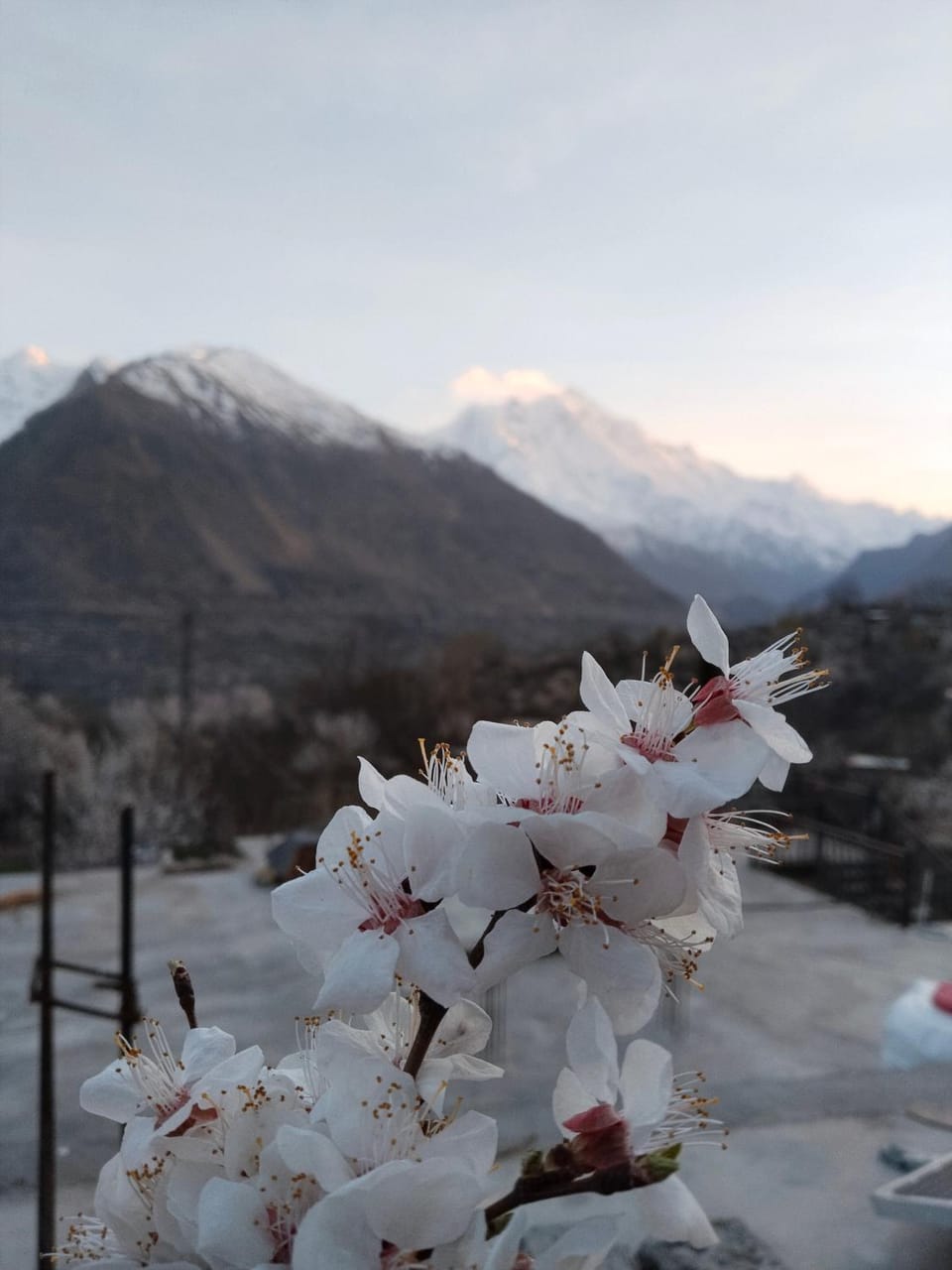 Hunza Ray's guest house Bed and Breakfast in Pakistan