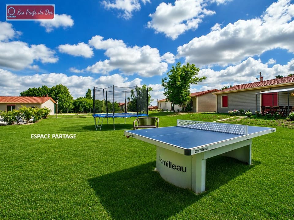 Garden, Table tennis, Garden view