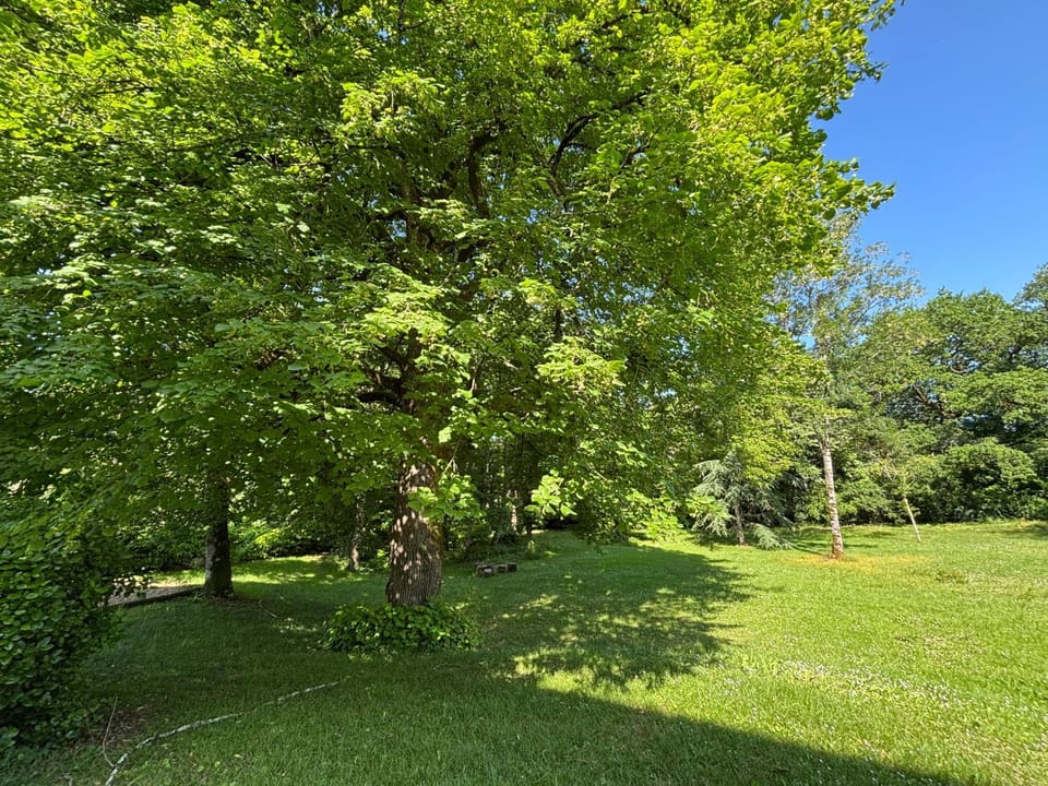 Natural landscape, Garden, Garden, Garden view