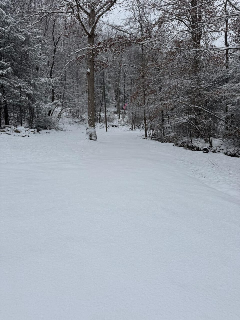 Serene Cabin between Fayetteville& Summerville WV Cabin in West Virginia