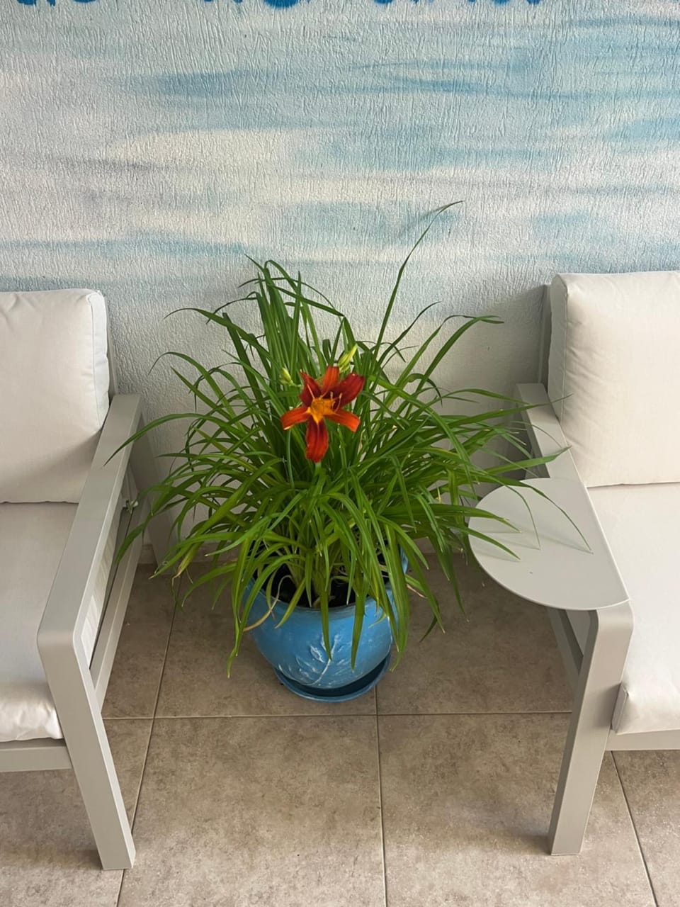 Patio, Living room, Decorative detail, Seating area