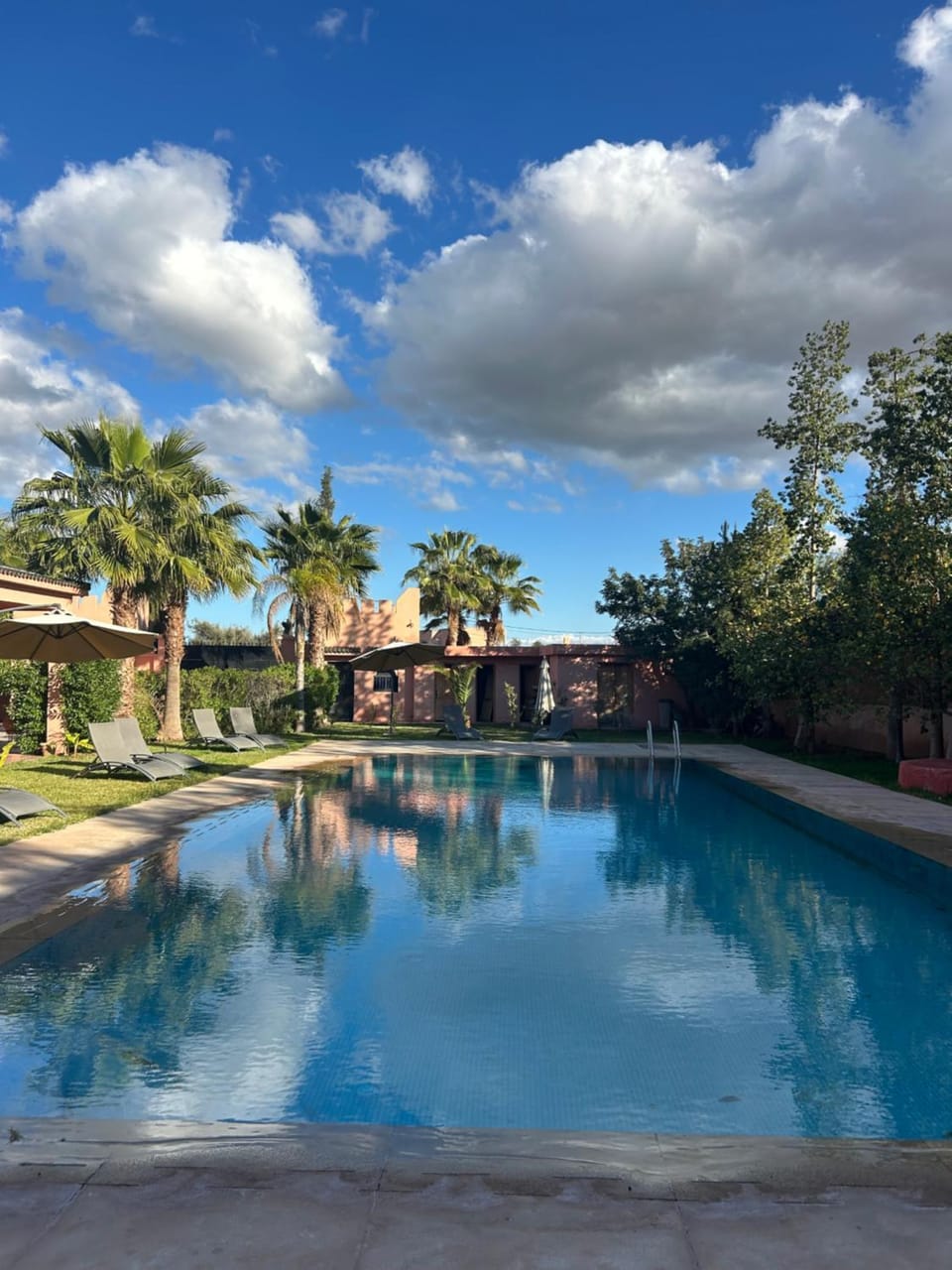 Natural landscape, Garden, Garden view, Pool view
