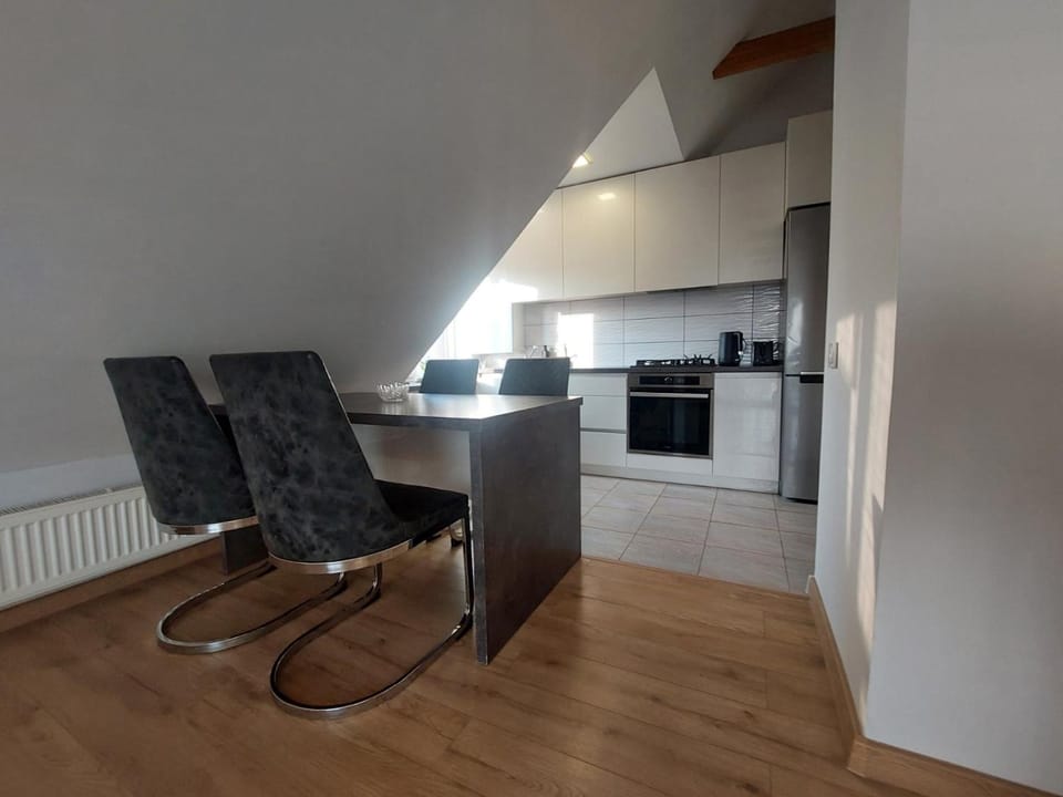 Fryko apartamentai Kaune Apartment in Lithuania