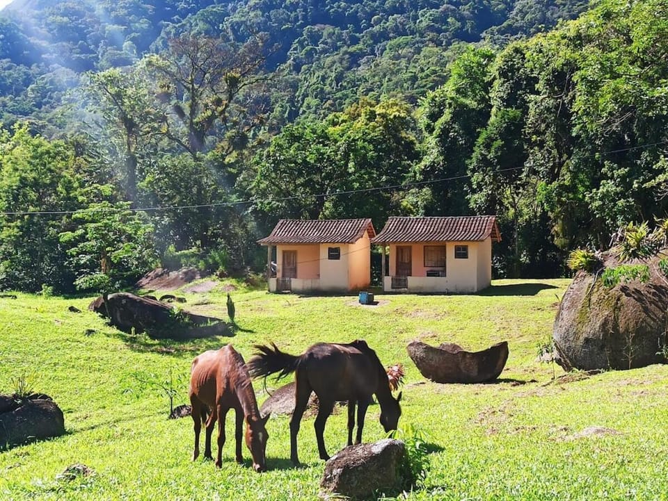 Casa Verdemô Paraty com cachoeira House in State of Rio de Janeiro