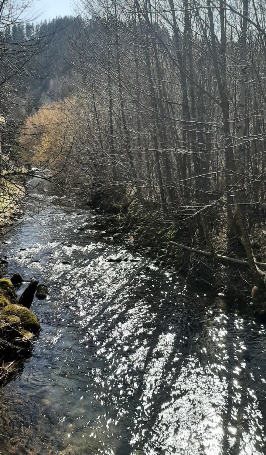 Natural landscape, Mountain view, River view, River view