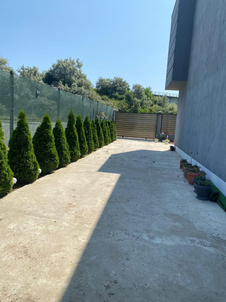 Garden view