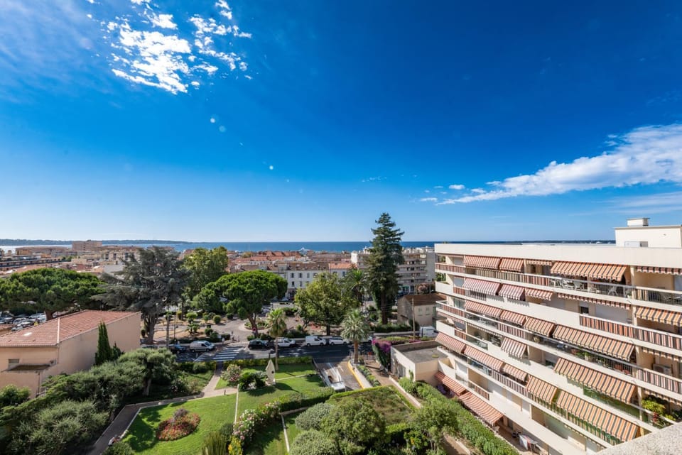 City view, Garden view