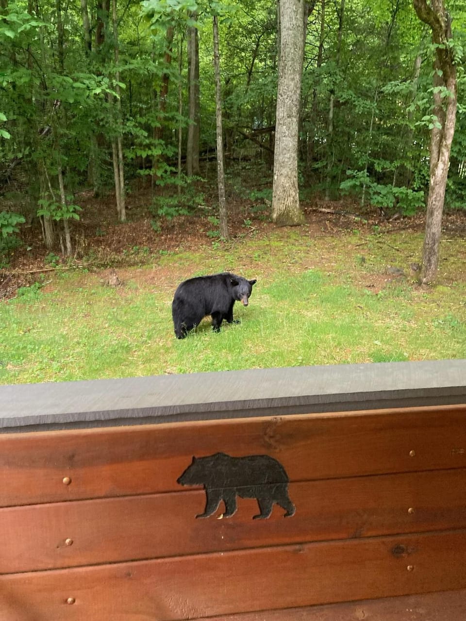 Heaven's Hideaway Chalet in Sevier County