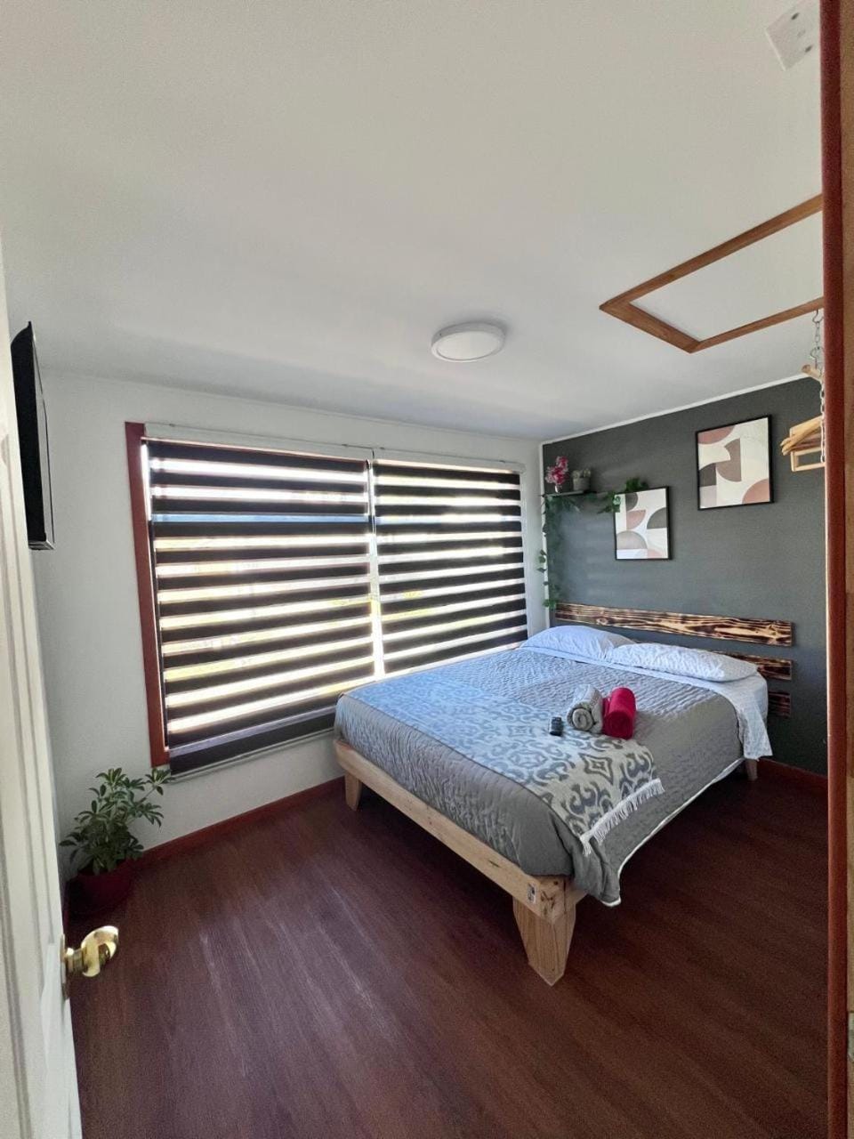 Bed, Photo of the whole room, Bedroom, Garden view