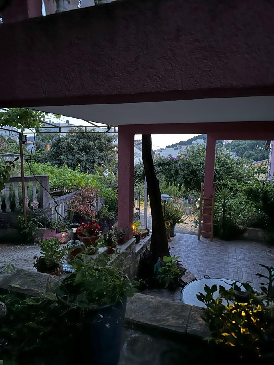 Garden view