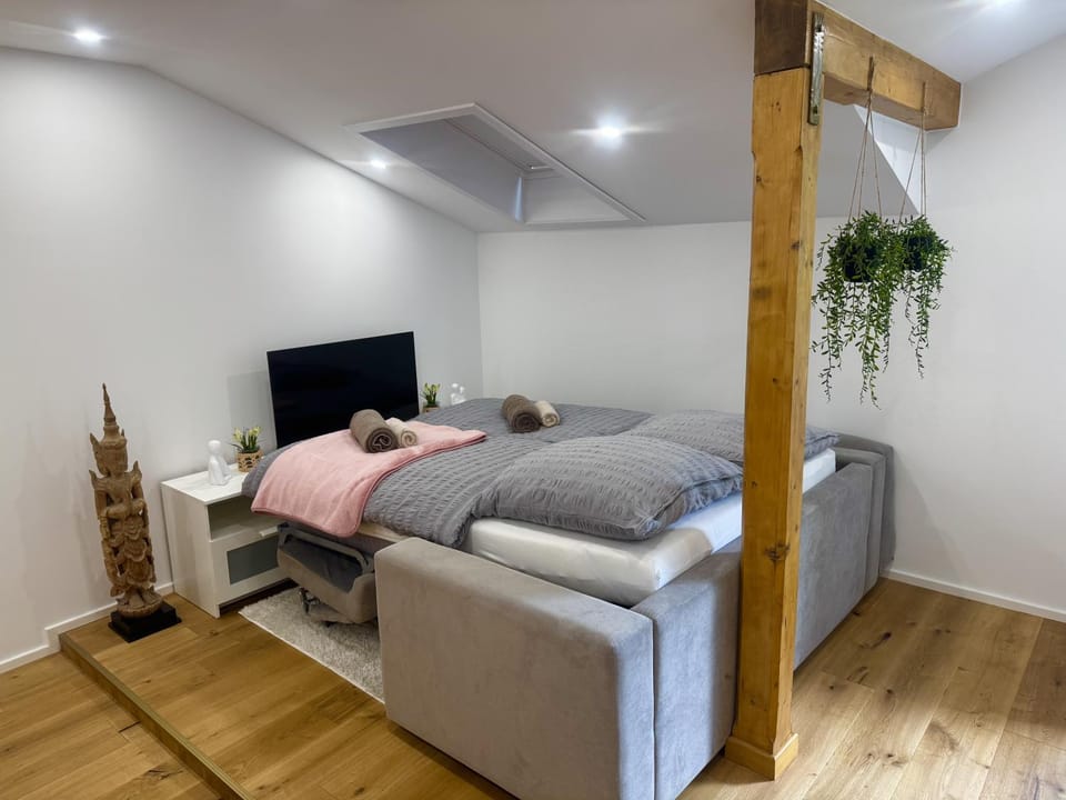 Bed, TV and multimedia, Living room